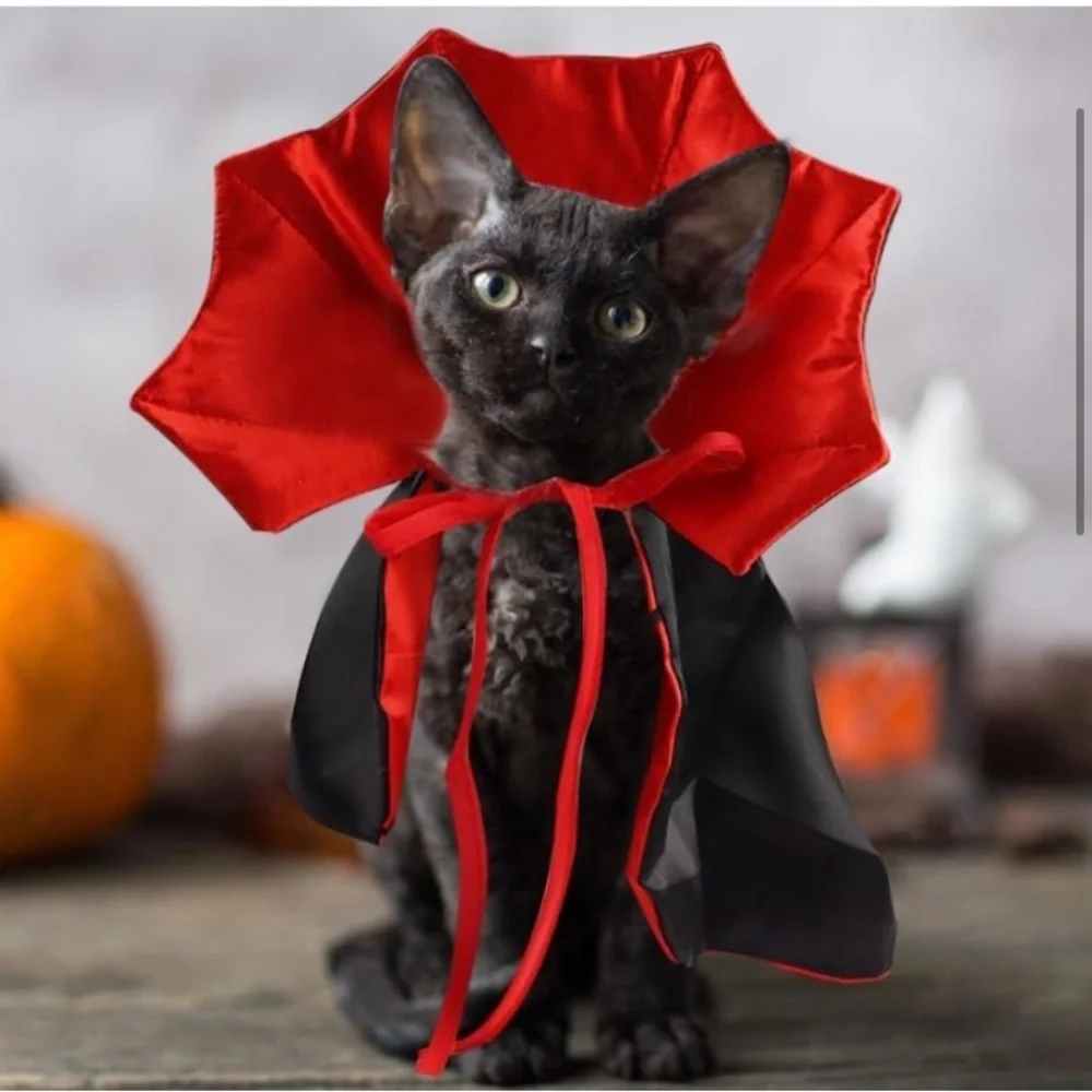Ablaze Zai Vampire Cat Costume